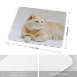 yanfind The Mouse Pad Funny Curiosity Sit Cute Baby Young Little Eye Kitten Whisker Fur Portrait Pattern Design Stitched Edges Suitable for home office game