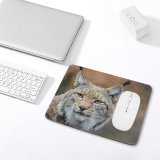 yanfind The Mouse Pad Blur Focus Whiskers Wild Cat Lynx Wildlife Fur Big Furry Carnivore Eyes Pattern Design Stitched Edges Suitable for home office game