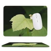 yanfind The Mouse Pad Vine Leaf Grape Grapes Leaves Wine Flower Plant Tree Thimbleberry Flowering Vitis Pattern Design Stitched Edges Suitable for home office game