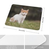 yanfind The Mouse Pad Young Kitty Grass Pet Funny Outdoors Resting Kitten Portrait Tabby Whiskers Curiosity Pattern Design Stitched Edges Suitable for home office game