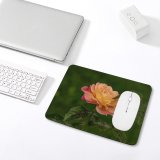 yanfind The Mouse Pad Free Flower Petal Rose Plant Blossom Luton Acanthaceae Uk Images Leaf Pattern Design Stitched Edges Suitable for home office game