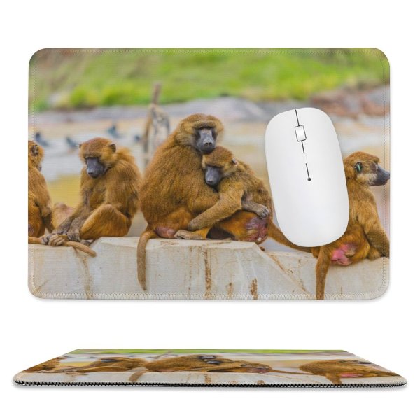 yanfind The Mouse Pad Uyuni Guinea Paris Cercopithecidae Birds Primate Images Monkey Africa Grooming Free Pattern Design Stitched Edges Suitable for home office game