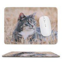 yanfind The Mouse Pad Young Grass Pet Outdoors Kitten Portrait Wildlife Field Curiosity Cute Cat Eye Pattern Design Stitched Edges Suitable for home office game
