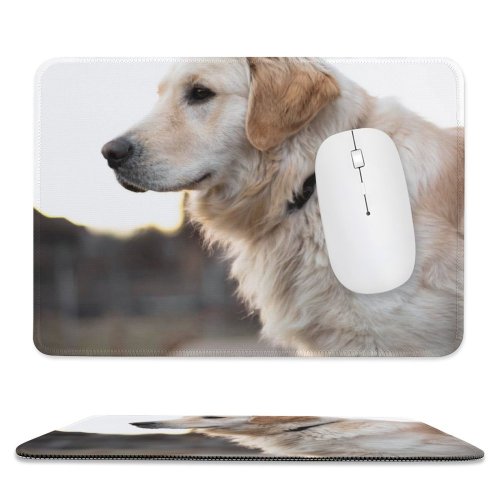 yanfind The Mouse Pad Dog Pet Wallpapers Free Pictures Grey Goldenretriever Golden Images Pattern Design Stitched Edges Suitable for home office game