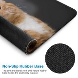yanfind The Mouse Pad Young Kitty Pet Funny Kitten Portrait Tabby Whiskers Cute Little Adorable Staring Pattern Design Stitched Edges Suitable for home office game