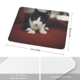 yanfind The Mouse Pad Funny Curiosity Sit Cute Cat Young Blur Eye Baby Little Portrait Pet Pattern Design Stitched Edges Suitable for home office game