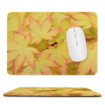 yanfind The Mouse Pad Wallpapers Images PNG Plant Insect Pictures Leaf Maple Tree Invertebrate Pattern Design Stitched Edges Suitable for home office game