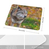 yanfind The Mouse Pad Blur Focus Wild Wolf Depth Danger Field Predator Shallow Wildlife Hunter Portrait Pattern Design Stitched Edges Suitable for home office game