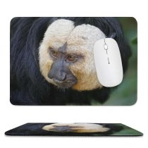 yanfind The Mouse Pad Dog Wildlife Free Monkey Wild Wallpapers Faced Primate Baboon Images Pictures Pattern Design Stitched Edges Suitable for home office game