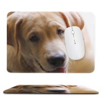 yanfind The Mouse Pad Dog Pet Free Pictures Stock Golden Images Pattern Design Stitched Edges Suitable for home office game