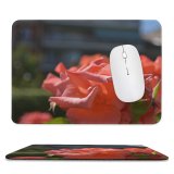 yanfind The Mouse Pad Wallpapers Flower Petal Rose Plant Blossom Madrid Domain Images Public Spain Pattern Design Stitched Edges Suitable for home office game