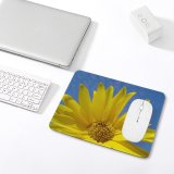 yanfind The Mouse Pad Flower Sky Sun Landscape Pectinatus Sky Plant Wildflower Petal Flower Flowering Euryops Pattern Design Stitched Edges Suitable for home office game