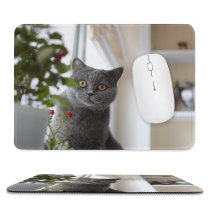yanfind The Mouse Pad Funny Curiosity Sit Cute Window Eye Portrait Family Kitten Pet Whisker Fur Pattern Design Stitched Edges Suitable for home office game