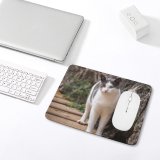 yanfind The Mouse Pad Young Kitty Grey Pet Wooden Outdoors Rocks Kitten Tabby Cute Floor Cat Pattern Design Stitched Edges Suitable for home office game
