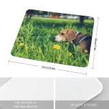 yanfind The Mouse Pad Dog Pet Pictures Strap Grass Hound Plant Creative Images Commons Beagle Pattern Design Stitched Edges Suitable for home office game