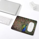 yanfind The Mouse Pad Paul Carmona Peacock Peafowl Beautiful Feathers Closeup Bird Colorful Pattern Design Stitched Edges Suitable for home office game