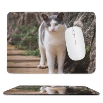yanfind The Mouse Pad Young Kitty Grey Pet Wooden Outdoors Rocks Kitten Tabby Cute Floor Cat Pattern Design Stitched Edges Suitable for home office game