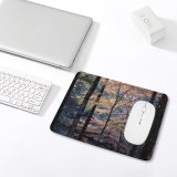 yanfind The Mouse Pad Abies Tree Estrela Plant Fir Free Trunk Fall Portugal Stock Wallpapers Pattern Design Stitched Edges Suitable for home office game