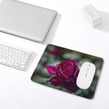 yanfind The Mouse Pad Free Flower Rose Stock Plant Blossom Images Switzerland Pattern Design Stitched Edges Suitable for home office game