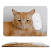 yanfind The Mouse Pad Funny Curiosity Sit Cute Little Young Eye Portrait Staring Kitten Pet Whisker Pattern Design Stitched Edges Suitable for home office game