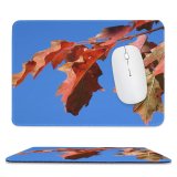 yanfind The Mouse Pad Maple Sky Shadows Autumn Woody Leaves Maple Sky Plant Branch Plane Denmark Pattern Design Stitched Edges Suitable for home office game
