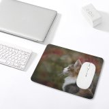 yanfind The Mouse Pad Pet Outdoors Side Tabby Whiskers Focus Little Blur Face Cat Eye Fur Pattern Design Stitched Edges Suitable for home office game