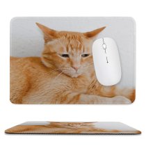 yanfind The Mouse Pad Funny Curiosity Sit Cute Little Young Eye Portrait Kitten Pet Whisker Downy Pattern Design Stitched Edges Suitable for home office game