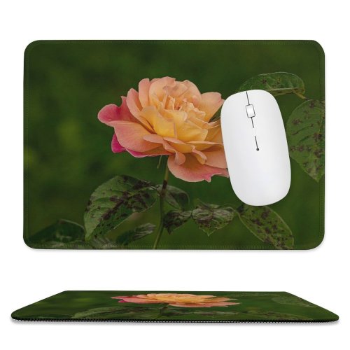 yanfind The Mouse Pad Free Flower Petal Rose Plant Blossom Luton Acanthaceae Uk Images Leaf Pattern Design Stitched Edges Suitable for home office game