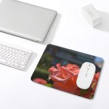 yanfind The Mouse Pad Wallpapers Flower Petal Rose Plant Blossom Madrid Domain Images Public Spain Pattern Design Stitched Edges Suitable for home office game