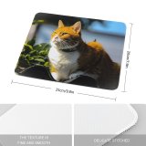 yanfind The Mouse Pad Young Kitty Pet Outdoors Kitten Portrait Tabby Whiskers Curiosity Cute Little Sit Pattern Design Stitched Edges Suitable for home office game