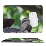 yanfind The Mouse Pad Blur Focus Wild Little Depth Field Wildlife Fur Outdoor Squirrel Rodent Adorable Pattern Design Stitched Edges Suitable for home office game