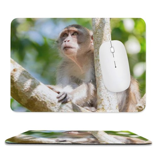 yanfind The Mouse Pad Singapore Domain Wildlife Public Monkey Jungle Baboon Images Rainforest Eating Pictures Pattern Design Stitched Edges Suitable for home office game