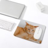 yanfind The Mouse Pad Funny Curiosity Sit Cute Little Young Eye Portrait Kitten Pet Whisker Downy Pattern Design Stitched Edges Suitable for home office game
