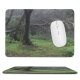 yanfind The Mouse Pad Coniferous Morning Tropical Tree Gomera Tree Forest Fog Trail Old Growth Jurasic Pattern Design Stitched Edges Suitable for home office game
