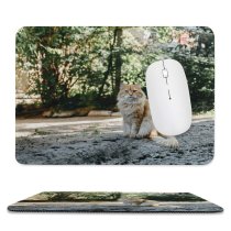 yanfind The Mouse Pad Plant Blurred Daylight Harmony Tree Alone Pet Homeless Outdoors City Street Town Pattern Design Stitched Edges Suitable for home office game