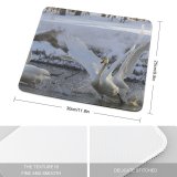 yanfind The Mouse Pad Whooper Swan Bird Fight Spring Lake Vertebrate Ducks Geese Swans Beak Tundra Pattern Design Stitched Edges Suitable for home office game