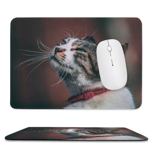 yanfind The Mouse Pad Funny Cute Eye Portrait Staring Kitten Grey Pet Face Nose Fur Whisker Pattern Design Stitched Edges Suitable for home office game