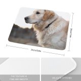 yanfind The Mouse Pad Dog Pet Wallpapers Free Pictures Grey Goldenretriever Golden Images Pattern Design Stitched Edges Suitable for home office game