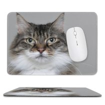 yanfind The Mouse Pad Young Grey Pet Kitten Portrait Tabby Curiosity Cute Little Staring Eye Whisker Pattern Design Stitched Edges Suitable for home office game