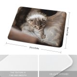 yanfind The Mouse Pad Adorable Kitty Sunlight Free Kitten Cat Wallpapers Cute Images First Pictures Pattern Design Stitched Edges Suitable for home office game