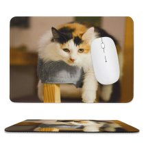 yanfind The Mouse Pad Young Kitty Pet Friendship Funny Kitten Portrait Tabby Whiskers Curiosity Cute Focus Pattern Design Stitched Edges Suitable for home office game