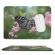 yanfind The Mouse Pad Blur Focus Butterfly Delicate Flowers Insect Butterly Wings Depth Field Shallow Lepidoptera Pattern Design Stitched Edges Suitable for home office game