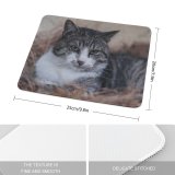 yanfind The Mouse Pad Abyssinian Free Hay Cat Stock Wallpapers Manx Images Pictures Pet Grey Pattern Design Stitched Edges Suitable for home office game