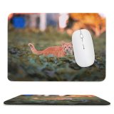 yanfind The Mouse Pad Plant Blurred Backlit Harmony Twilight Meadow Carnivore Countryside Grass Interest Pet Relax Pattern Design Stitched Edges Suitable for home office game