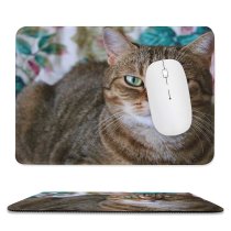 yanfind The Mouse Pad Young Grey Pet Funny Kitten Portrait Tabby Cute Little Sleep Cat Eye Pattern Design Stitched Edges Suitable for home office game