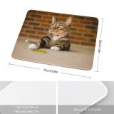 yanfind The Mouse Pad Funny Curiosity Sit Cute Little Young Pretty Eye Staring Kitten Whisker Fur Pattern Design Stitched Edges Suitable for home office game