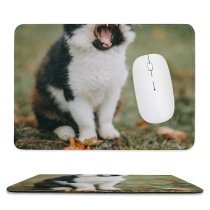yanfind The Mouse Pad Yell Meow Cat Little Roar Grass Kitten Bicolor Pet Fur Whiskers Yelling Pattern Design Stitched Edges Suitable for home office game