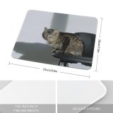 yanfind The Mouse Pad Funny Curiosity Sit Cute Young Eye Portrait Kitten Grey Whisker Downy Fur Pattern Design Stitched Edges Suitable for home office game