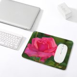 yanfind The Mouse Pad Wallpapers Flower Rose Ankara Plant Blossom Creative Images Türkiye Commons Pattern Design Stitched Edges Suitable for home office game