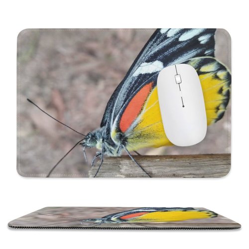 yanfind The Mouse Pad Wallpapers Images Free Monarch Birds Broken Insect Pictures Invertebrate Wing Butterfly Pattern Design Stitched Edges Suitable for home office game